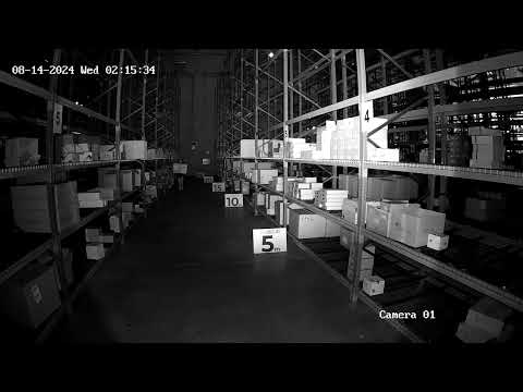 Minidome ip camera of 4 megapixels and fix lensvideo_noche