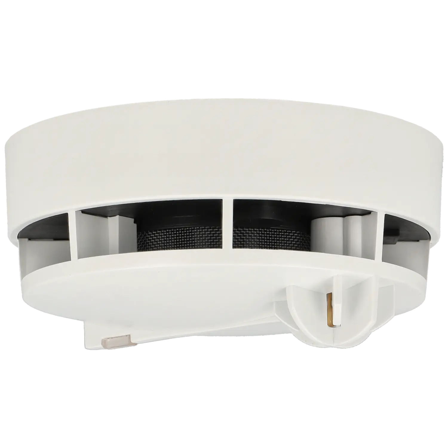 Attributes section Image