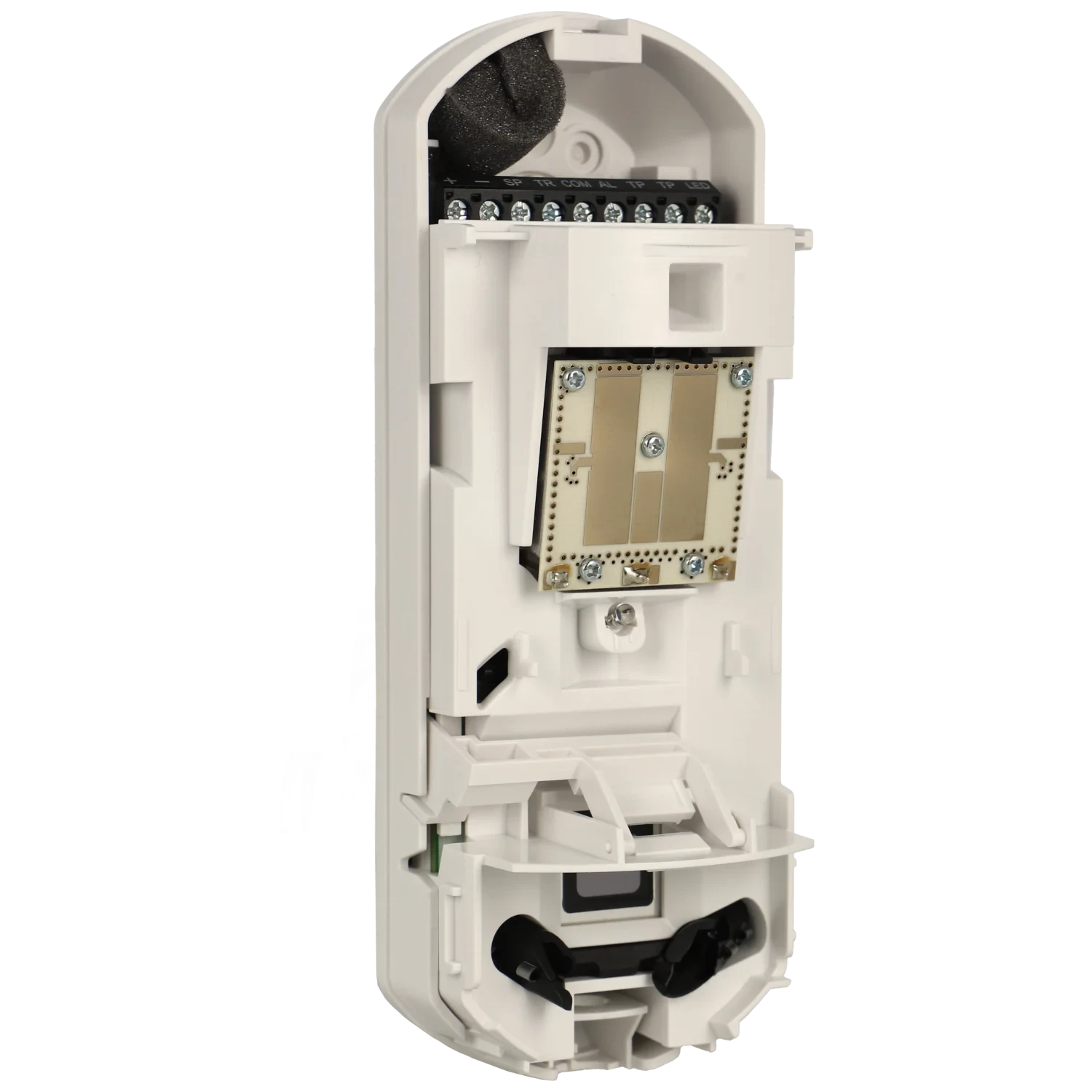 Attributes section Image